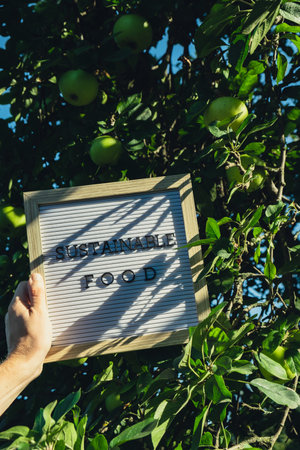 Letter board with text SUSTAINABLE FOOD on background of garden apples. Organic farming, produce...
