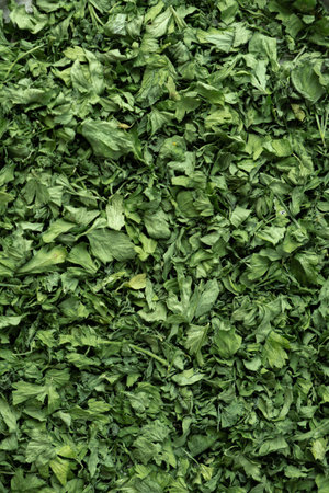 Fresh dried greenery parsley ingredient vertical background. Herbal medicine healthy eating. Superfood prebiotic food. Sustainable homegrown organicの写真素材