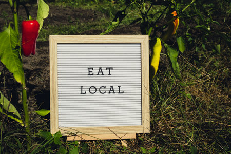 EAT LOCAL message on background of fresh eco-friendly bio grown bell pepper in garden. Countryside...