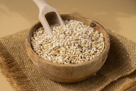 Pearl barley in neutral beige background. Whole spelt grain species. High protein fiber-rich vegan...