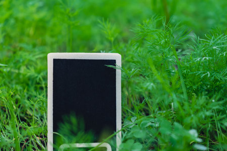 Blank Black billboard against green field garden fresh green herb dill. Empty mockup template...
