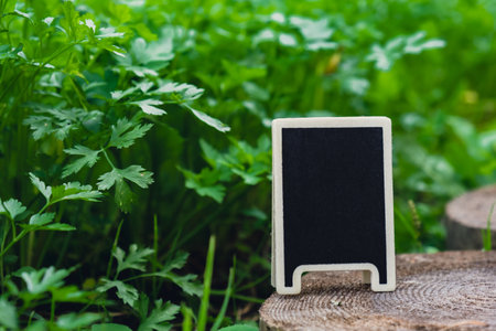 Blank Black billboard against green field garden fresh green herb parsley. Empty mockup template Blackboard label at farm land. Copy space banner for your text. Agricultural landscapeの写真素材