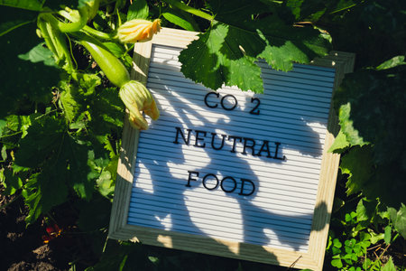 Letter board with text CO2 NEUTRAL FOOD on background of garden bed with green zucchini. Organic farming, produce local vegetables concept. Supporting local farmersの写真素材