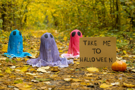Creative handmade Halloween holiday decoration. Colorful ghost with cardboard TAKE ME TO HALLOWEEN...