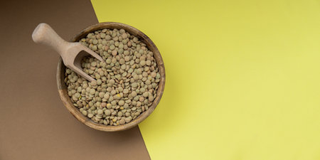 Green lentil copy space. Whole spelt grain species. High protein fiber-rich vegan plant based food ingredient. Gluten free superfood healthy nutritional dietary alternativeの写真素材