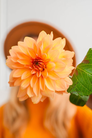 Woman faceless yellow sweater closing eyes with orange dahlia into camera Autumn Fall Bouquet for Thanksgiving holiday. Seasonal Warm colorful blossom flowers arrangement festive decorationの写真素材