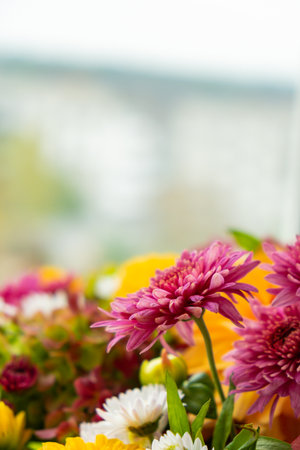 Autumn garden colorful flowers. Beautiful autumnal bouquet dahlia chrysanthemum. Red pink orange fall color fall floral background. Flower shop and florist design conceptの写真素材