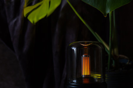 Indoors Decoration with modern lighted Air Humidification Aroma essential oil perfume fragrance. Scented home wellness wellbeing habit. Concept of feeling good spiritual healthの写真素材