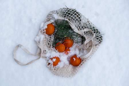 Ripe tangerines in reusable mesh bag with fir branch outside in snowy winter. Concept of sustainable Christmas celebration, responsibility and inclusivity. Orangesの写真素材