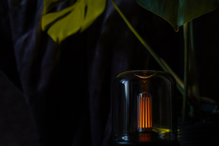 Home fragrance aromatic diffuser with essential oil. Modern air humidifier at home. Improving the...