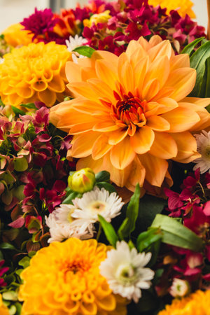 Selective focus Bush of autumnal orange red chrysanthemums and violet dahlia hydrangea. Fall garden beautiful flowers bouquet background. Blooming blossom thanksgiving day arrangement basketの写真素材