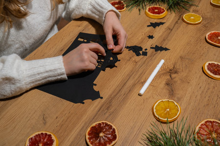 Christmas Gingerbread Paper black House Gift idea. Do it yourself instruction eco-friendly...
