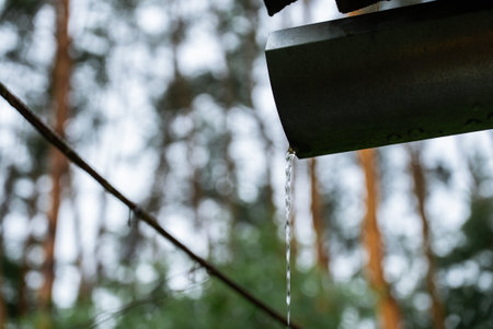 Rainwater Harvesting System Collecting Roof Runoff into Bucket for Sustainable Water Conservation
