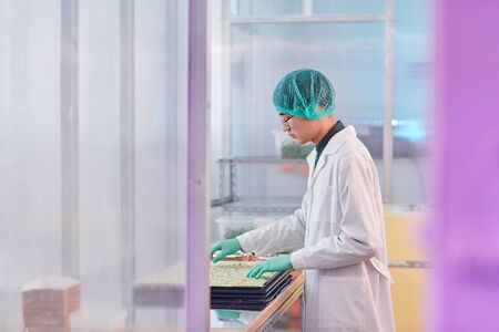 Young scientist in white coat standing near the table and working with seeds of plants in the lab