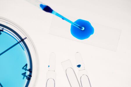 Horizontal from above flat lay shot of petri dish with specimen, glass ampoules with medication, blue liquid on white surfaceの写真素材