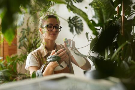Young woman in eyeglasses holding branch of young plant and splashing water on it she cleaning plants from dustの写真素材