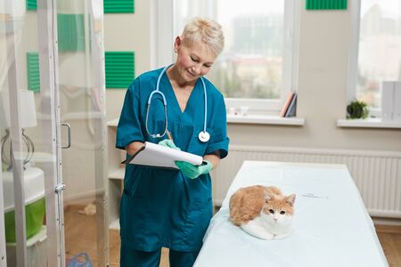 Mature woman in uniform making notes in medical card she prescribing a medicine for domestic catの写真素材