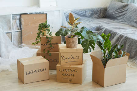 Image of packed signed boxes with things and plants standing on the floor in new apartmentの写真素材