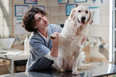 Young man in uniform examining the paw of domestic dog during medical exam in vet clinicの写真素材