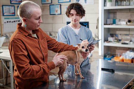 Mature woman showing her little dog to the vet doctor, she talking to him while he making notes in document at the officeの写真素材