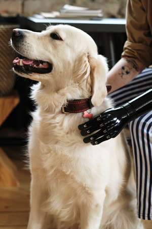 Close-up of woman with prosthetic arm petting adorable golden retriever dog at homeの写真素材