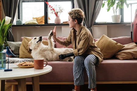 Girl with prosthetic arm learning her golden retriever to give five while they resting on sofa in...