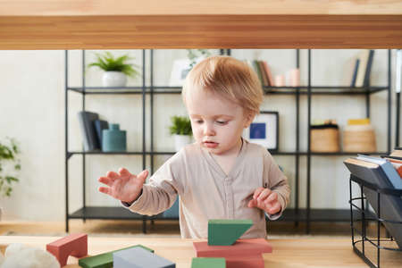 Little child building a tower from colorful constructor during his playing in the room