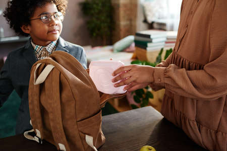 Close-up of girl packing lunch box in school bag for her little brother to send him to school