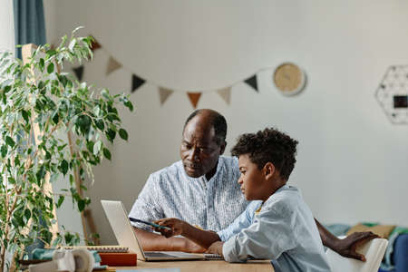 African child pointing at monitor of laptop during his study with tutor at table in the roomの写真素材