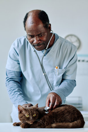 African doctor in uniform examining cat on table with stethoscope at vet clinic