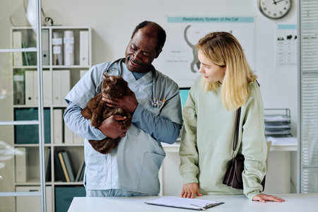 African vet doctor examining domestic cat and giving consultation to young womanの写真素材