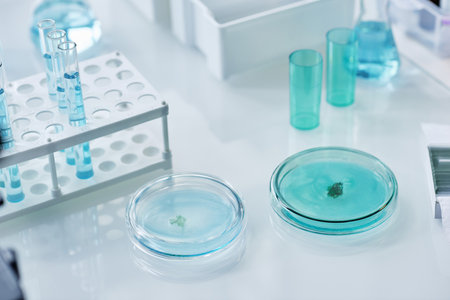 Group of petri dishes, flasks and other clinical glassware with liquid substances necessary for new scientific experimentの写真素材