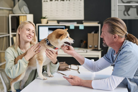 Veterinarian scratching chin of dog patient while consulting pet owner during appointment