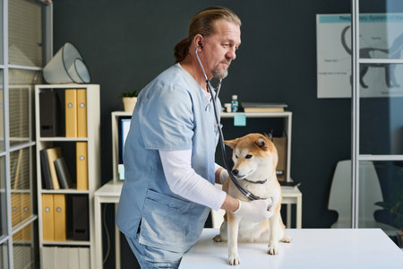 Middle-aged caucasian veterinarian listening to heartbeat of dog patient during checkupの写真素材