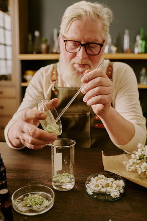 Mature perfumer adding dried crushed daisies into transparent liquid in long glass flask