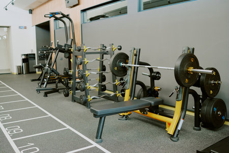 Spacious modern zone for pumping iron, zone equipped with bars plates bench