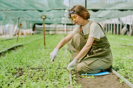 Person kneeling and tending to plants in greenhouse, surrounded by green foliage and wearing a t-shirt, overalls, gloves, and reflective sunglasses, creating relaxed atmosphereの写真素材