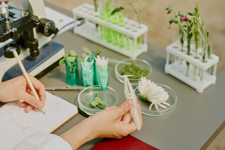 Scientist examining different botanical samples with microscope and test tubes. Noting observations while arranging plants and flowers in various laboratory apparatusの写真素材