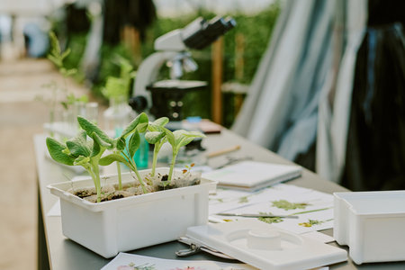 Researching plant growth in modern agricultural lab with various scientific equipment present and seedlings in container on lab bench and documents scattered around the workspaceの写真素材