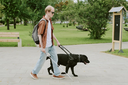 Caucasian man with disability enjoying walking with cane in park with his guide dogの写真素材