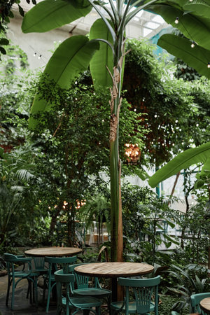 Vertical shot of wooden tables and chairs next to banana tree in eco cafeの写真素材