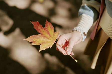 High angle view of unrecognizable girls hand holding yellow maple leaf on sunny autumn dayの写真素材