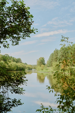 Scenic view showing calm river surrounded by lush green trees and dense forest under blue sky with...