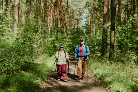 Caucasian young adult man and Caucasian young adult girl hiking together on forest trail using trekking poles, walking side by side surrounded by tall trees and lush greeneryの写真素材