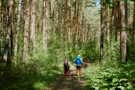 Young girl and young adult man hiking along forest trail carrying backpacks, walking side by side surrounded by tall pine trees and dense green foliageの写真素材