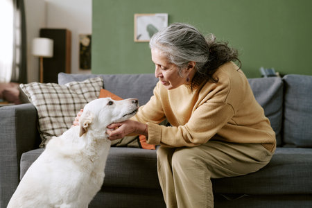 Senior Caucasian woman sitting on sofa gently holding face of large dog while smiling and making eye contact with pet in living room setting, showing affectionate interactionの写真素材