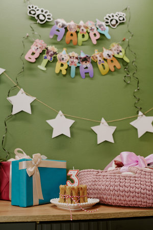 Vertical of dog birthday party scene showing decorated wall with happy birthday banner, gifts...