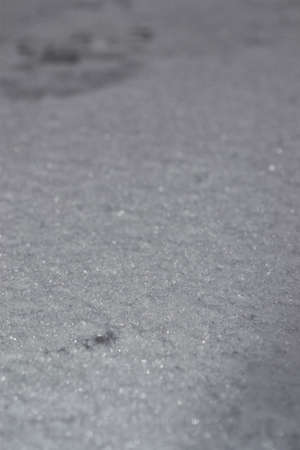 Pathway Freezeの写真素材