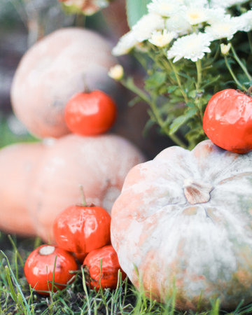 Autumn composition with pumpkin, tomato and white bouquet, close-upの写真素材