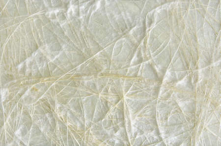 Pressed fibre and cotton backgroundの写真素材